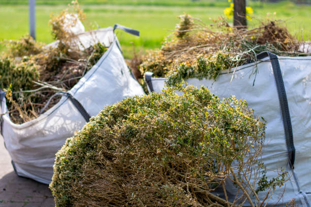 Professional Junk Removal in Lewiston, ME